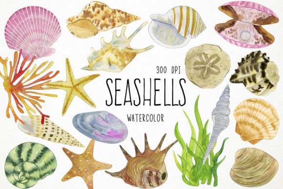 Unlock Coastal Charm: Using Watercolor Seashells Clipart