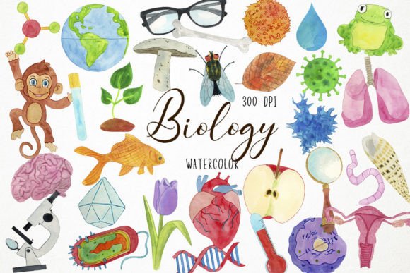 Watercolor Biology Clipart: Creative Assets for Scientists & Designers